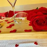 酒店 节庆酒店 里米尼