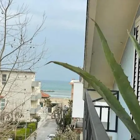 Festival Hotel 2*